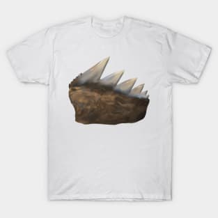 Cow Shark Tooth T-Shirt